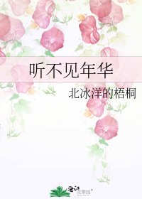 听不见年华