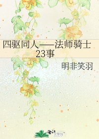 四驱同人——法师骑士23事