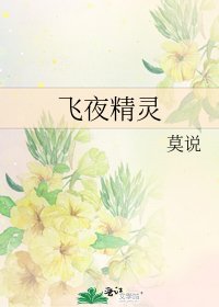飞夜精灵