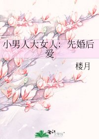 小男人大女人:先婚後愛
