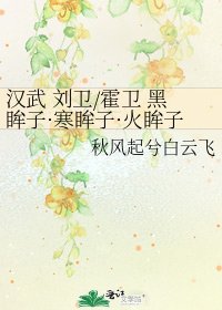 汉武 刘卫/霍卫 黑眸子·寒眸子·火眸子