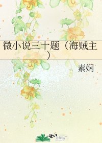 微三十题(海贼主)