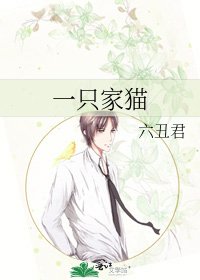 一只家猫