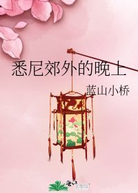 悉尼郊外的晚上