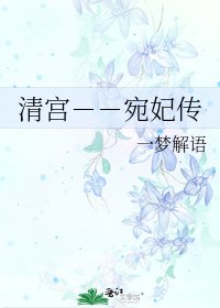 清宫--宛妃传