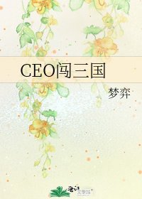 CEO闯三国