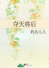 夺天将后