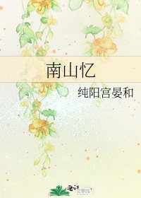 南山忆