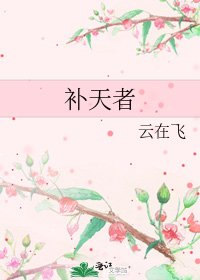 補天者