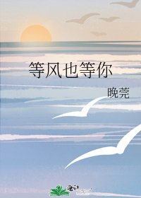 等风也等你