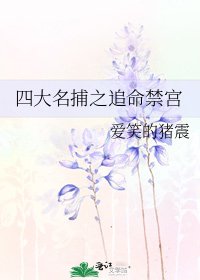 四大名捕之追命禁宮