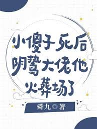 小傻子死后,阴鸷大佬他火葬场了