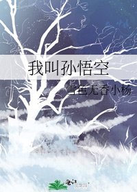 我叫孙悟空