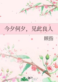 今夕何夕,见此良人