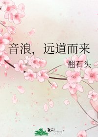 音浪,远道而来