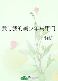 我与我的美少年马甲们