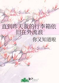 直到昨天我的行李箱依旧在外流浪