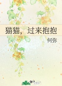 貓貓,過來抱抱