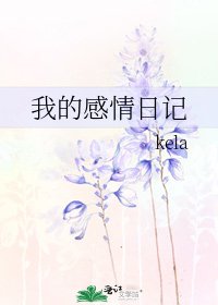 《我的感情日记》