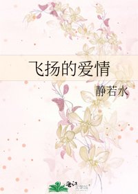 飛揚的愛情