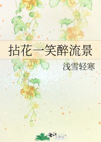 拈花一笑醉流景