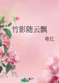 竹影随云飘