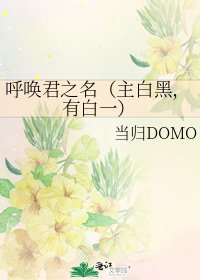 呼唤君之名(主白黑,有白一)