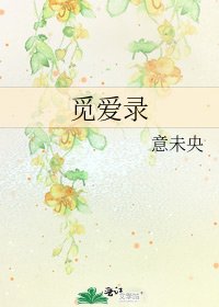 觅爱录