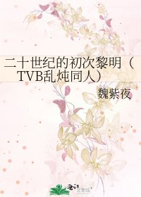 二十世纪的初次黎明(TVB乱炖同人)