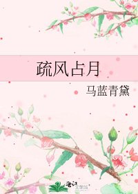 疏風佔月
