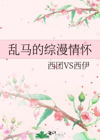 乱马的综漫情怀