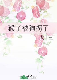 猴子被狗拐了