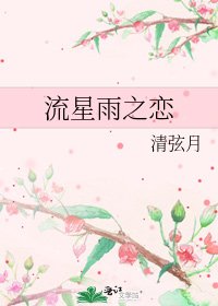 流星雨之恋