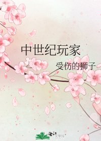 《中世纪玩家》