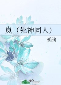 岚(死神同人)