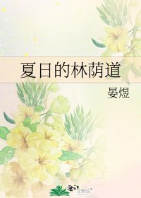 夏日的林荫道
