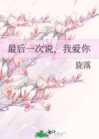 最后一次说,我爱你