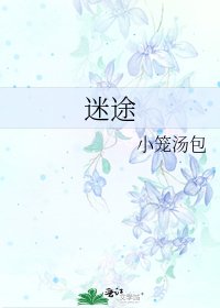 迷途