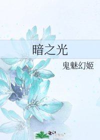 暗之光