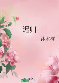 迟归