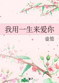 我用一生来爱你
