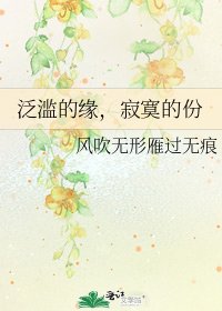 泛滥的缘,寂寞的份