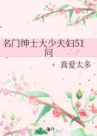 名门绅士大少夫妇51问