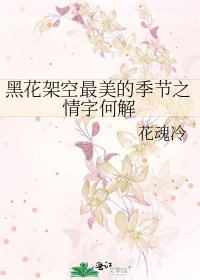 黑花架空最美的季節之情字何解