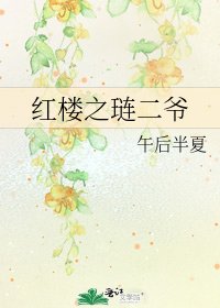 红楼之琏二爷
