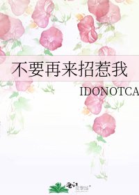 不要再來招惹我