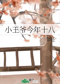 小王爺今年十八