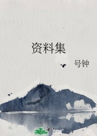 资料集