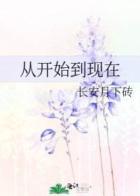 从开始到现在