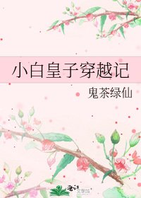 小白皇子穿越记